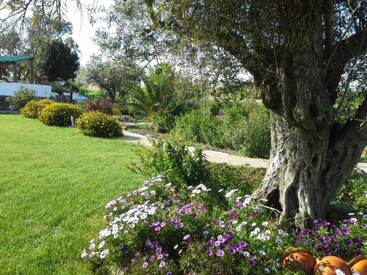 Horta Da Coutada Hotel Monsaraz Bagian luar foto